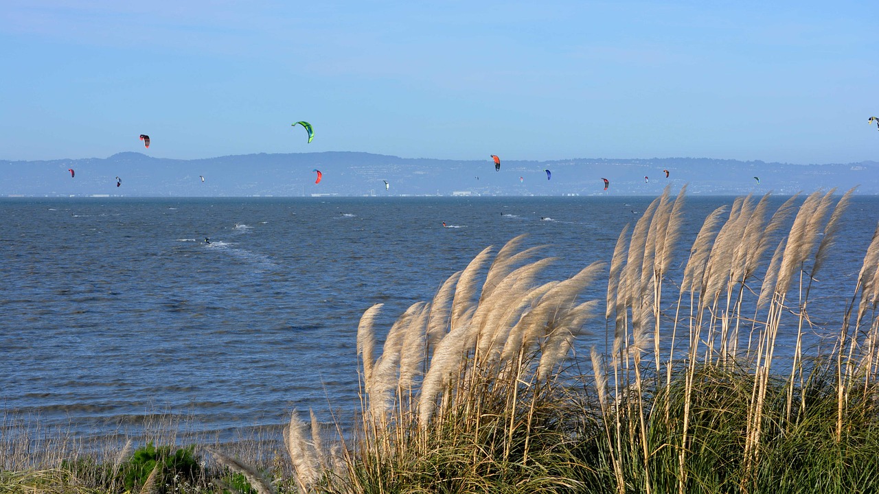 L'Étape San Antonio